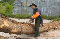 Materjali varumine