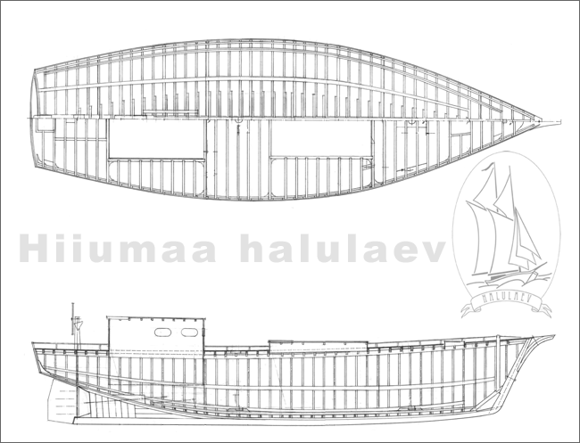 Halulaeva joonised