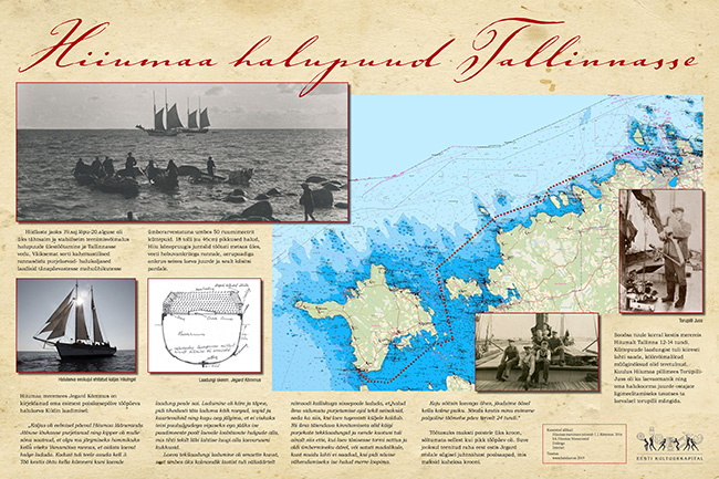 Hiiumaa halupuud Tallinnasse